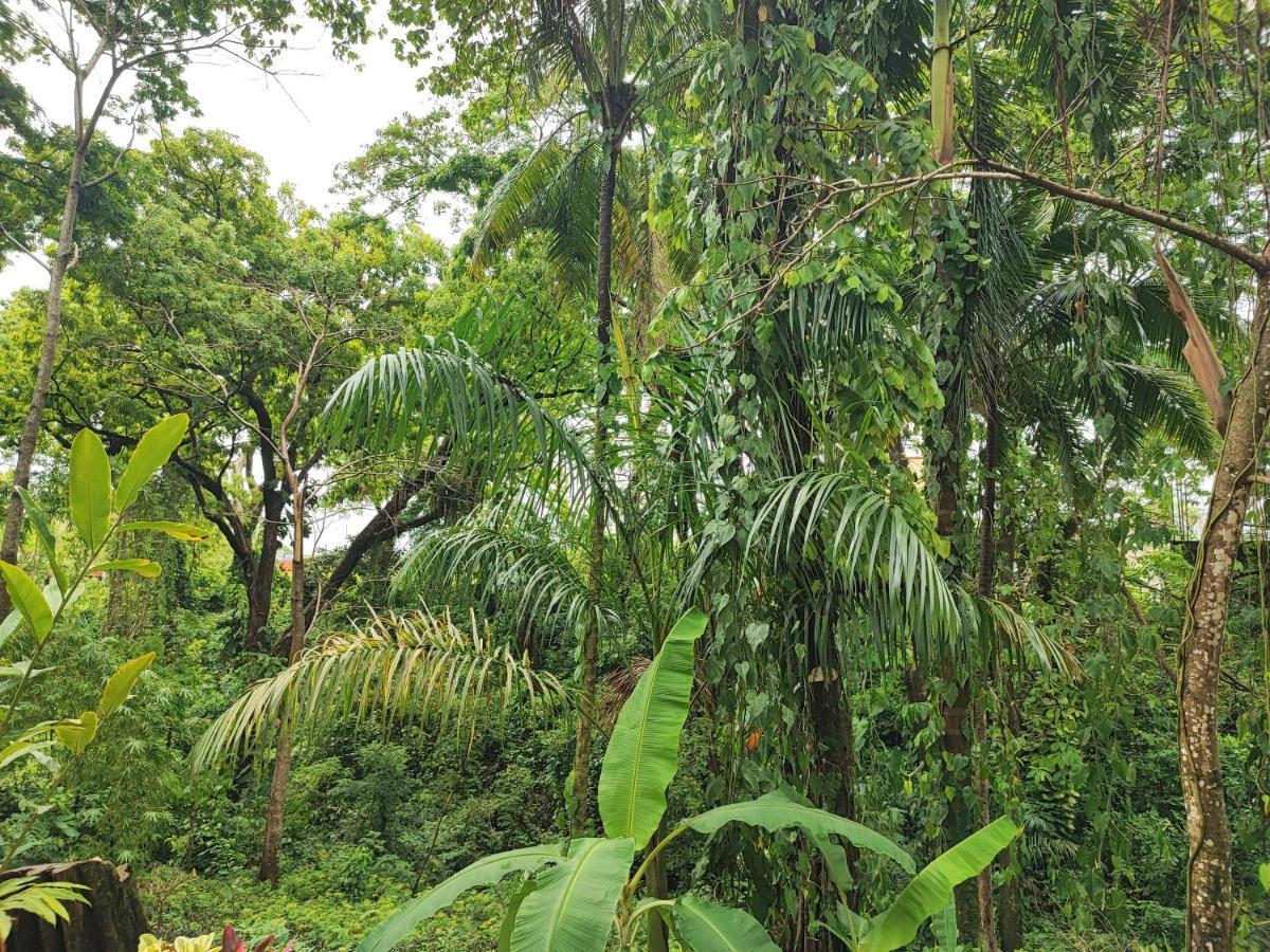 Casa Hadassa La Canada Palenque Luaran gambar