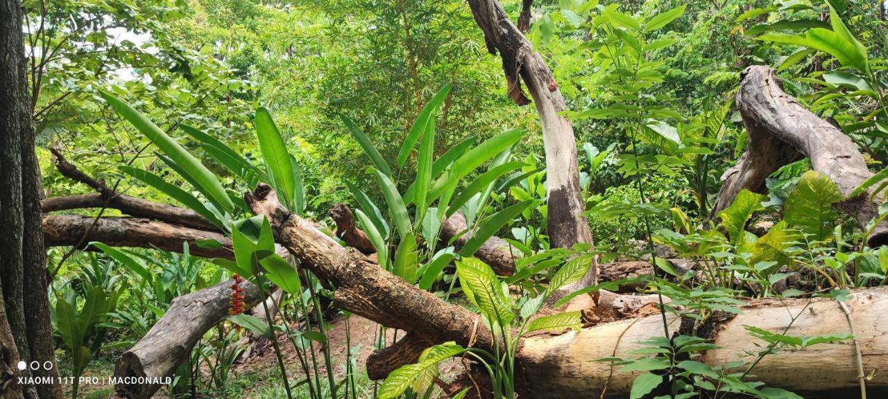 Casa Hadassa La Canada Palenque Luaran gambar