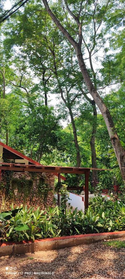 Casa Hadassa La Canada Palenque Luaran gambar